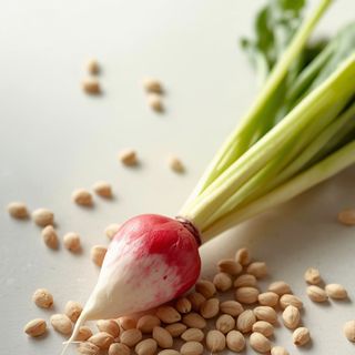 Radish Seeds – Nutritional Value, Benefits, and Cultivation