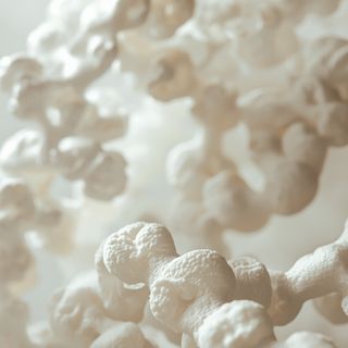 Collagen – Properties, Types, Sources and Applications