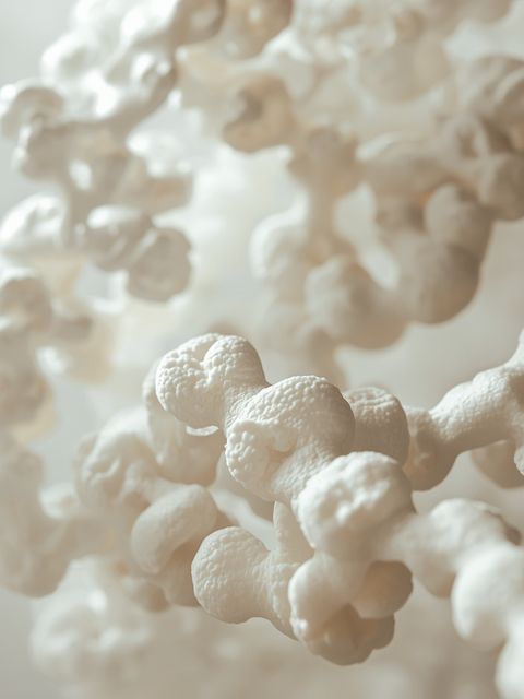 Collagen – Properties, Types, Sources and Applications