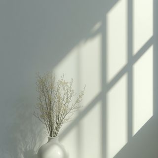 Phototherapy – Indications, Contraindications, Biostimulation and Effects
