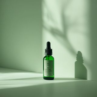 Aloe Supports the Healing Process for Various Ailments