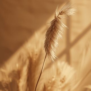 Amarant – wertvolle gesundheitliche Eigenschaften der Getreidepflanze des 21. Jahrhunderts und Zubereitungsmethoden
