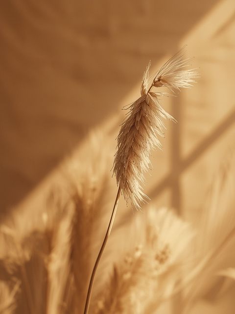 Amaranth – Valuable Health Properties of the 21st-Century Cereal Plant and Preparation Methods