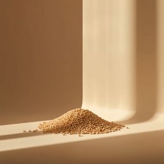 Amaranth – Properties, Oil, Flour, Puffed Grain, Recipes