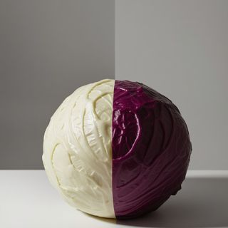 Weißkohl und Rotkohl – Unterschiede, gesundheitliche Auswirkungen, Rezepte