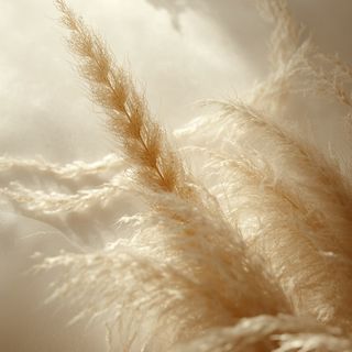 Fiber Components – Soluble and Insoluble. Where Is the Most Fiber Found?