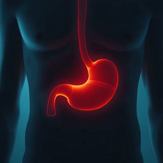 Plötzliche Bauchschmerzen – Ursachen, Symptome, Behandlung. Bauchschmerzen auf nüchternen Magen