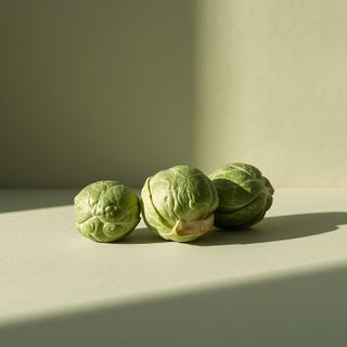 Rosenkohl: Eigenschaften, Einkaufsmöglichkeiten, Preis und Vorschriften