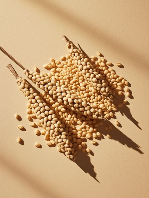 Sesame – varieties, characteristics, application, guidelines