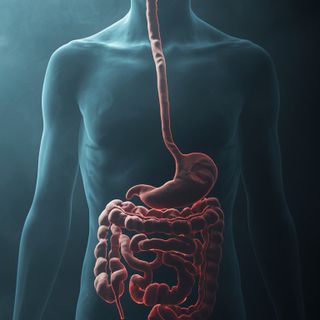 SIBO  small intestine bacterial growth syndrome