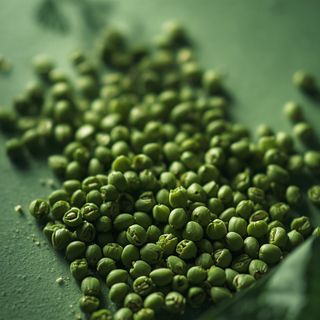 Green lentils that naturally occur in Greece and parts of Central Asia