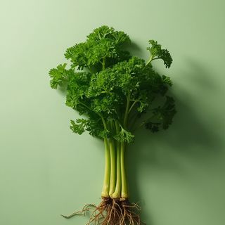 Parsley juice - stems and roots... effectiveness of parsley juice