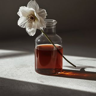 Does ordinary blackless flower syrup truly help? Properties and applications of the syrup made from ordinary blackless flowers.