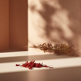 Saffron can contribute to enhancing the process of yellow spot degeneration!
