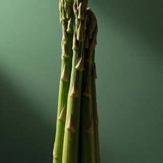 Asparagus as a superb vegetable for weight reduction