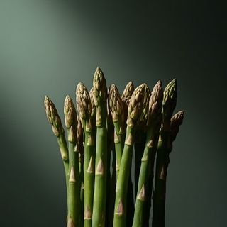 Spargel – Sorten, Eigenschaften, Zubereitung und Rezepte