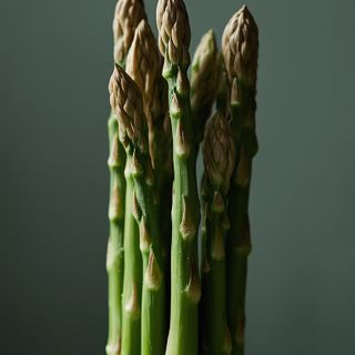 Culinary Asparagus Shoots, with a thickness not surpassing 10 mm