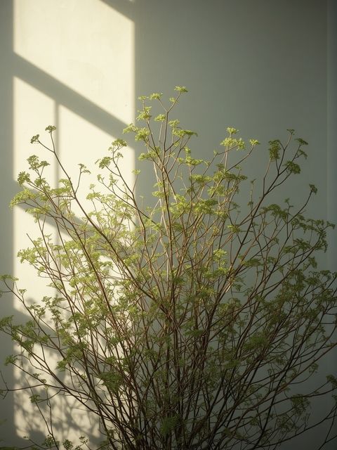 Viticultural Shrubs