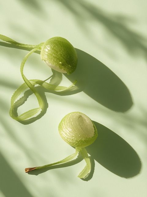 Chlorella - composition, mode of action, application, recipe for use