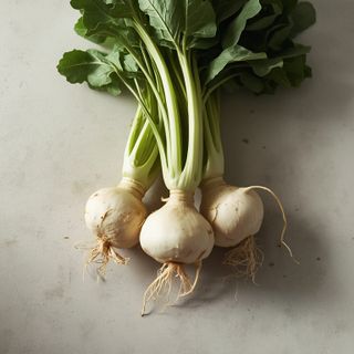 Meerrettich - Wurzel, Blätter... Hausgemachte Rezepte für Meerrettich