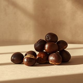 What assignments can be executed with chestnuts? Attributes of chestnuts