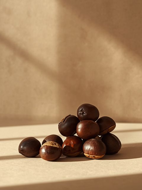 What assignments can be executed with chestnuts? Attributes of chestnuts