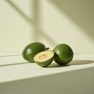 Cucumis melo