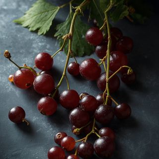 Czarne i czerwone porzeczki - ich korzyści zdrowotne i różnorodne zastosowania