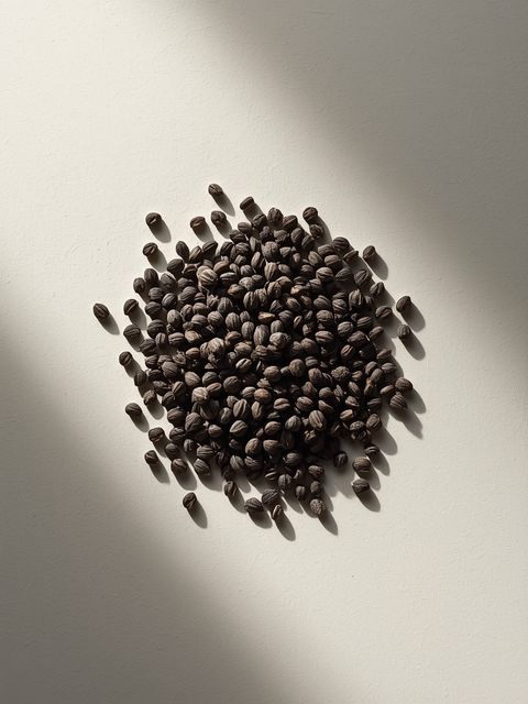 Black cumin seeds – contraindications and adverse effects