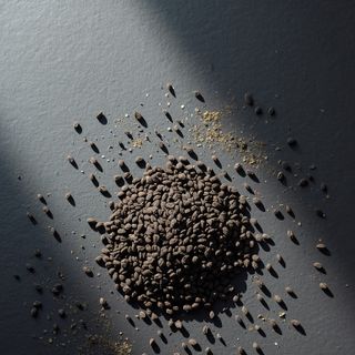 Black cumin - Health benefits, active compounds, and therapeutic uses