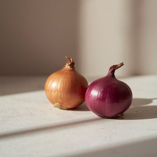 Rote Zwiebeln – Nährstoffe, Rezepte... Kann man rote Zwiebeln anbraten?