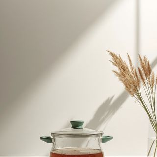 Are electric glass cooking pots practical for the kitchen? Comparison of the best models!