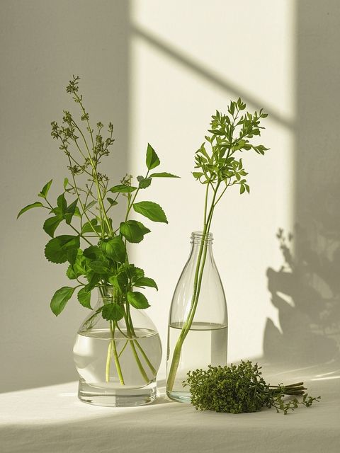 A dietary plan for excessive gastric acid... Herbs against overacidification