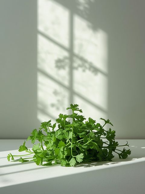 Cultivating and Utilizing Coriander: A Comprehensive Guide
