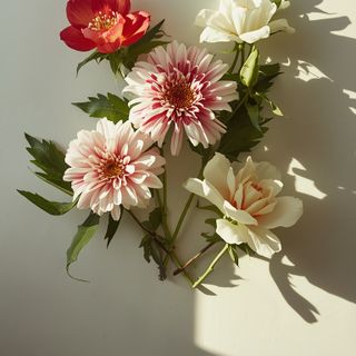 Essbare kulinarische Dekorationen: Eine Übersicht über genießbare Blumensorten