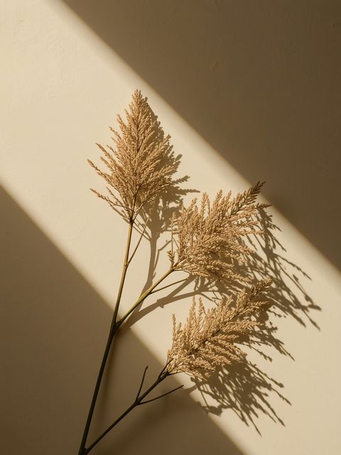 Greater burdock – medicinal properties, applications of burdock oil, and its effects on hair health and metabolic well-being
