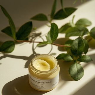 A comprehensive guide to crafting comfrey-based ointment at home: Therapeutic benefits and anti-wrinkle applications of *Symphytum officinale*