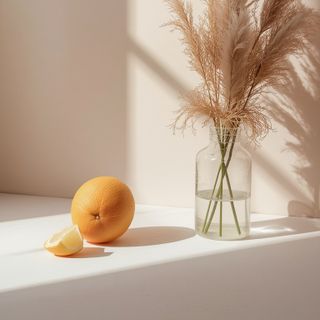 An Optimal Nutrition Plan for the Summer Season – 10 Expert-Approved Guidelines