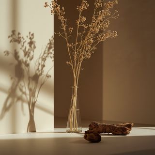 Licorice root: medicinal properties, applications, beverages – safety considerations during pregnancy