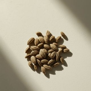 Salvia hispanica seeds: health-related restrictions and potential adverse reactions from consumption