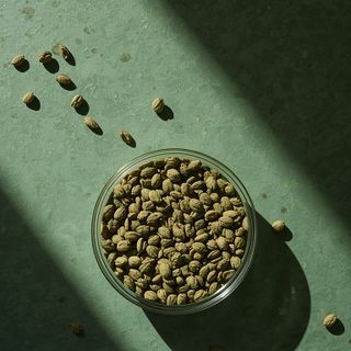 Hempseed (Cannabis sativa) – comprehensive nutritional profile, health-promoting attributes, functional uses and market pricing evaluation