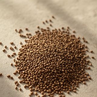 Chia seeds – nutritional energy value, practical applications, and distinctive dietary attributes of ancient Mesoamerican sustenance
