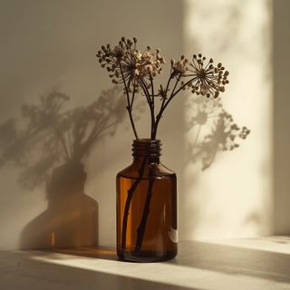 Säurehaltiges Blütenöl der Schwarzen Holunderblüte – vielseitig einsetzbar über die Küche hinaus