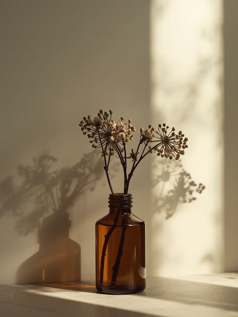 Tart floral extract from black elderflower – versatile applications beyond culinary use
