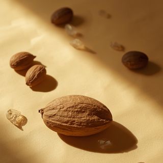 Brazil nuts: a nutritional powerhouse from the Amazon rainforest with exceptional health benefits
