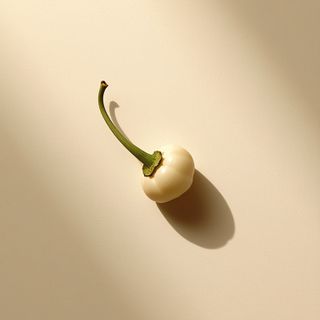 White pepper: distinctive properties, vitamin composition, and dietary advantages in contemporary nutrition