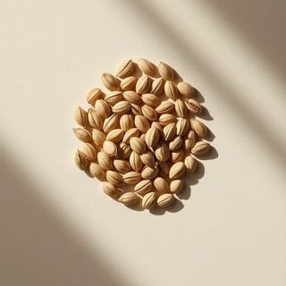Sunflower seeds examined: Nutritional profile, health advantages, and their significance in weight management diets and pregnancy – an evidence-based assessment