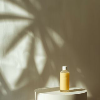 Piperin – Merkmale, unerwünschte Wirkungen und Anwendungsempfehlungen
