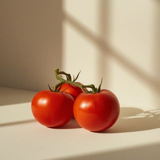 Cultivated tomato cultivars (Solanum lycopersicum) – botanical traits and culinary applications