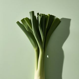 Leek – characteristics, nutritional composition, and intriguing insights